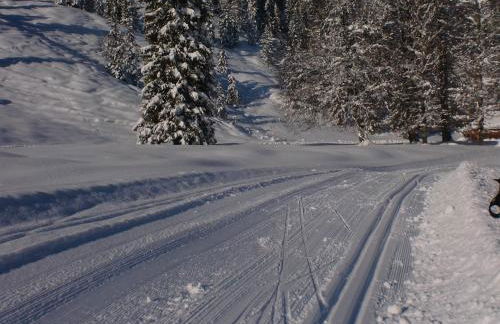 Schönfeldjoch - Foto 10