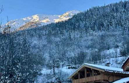 Somptueux Chalet 12 personnes - Villaroger - Foto 30