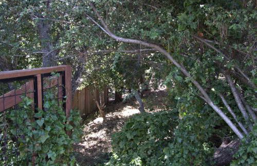 1801 Downing Ave. - Foto 10