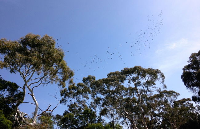 Abington Farm - Foto 41