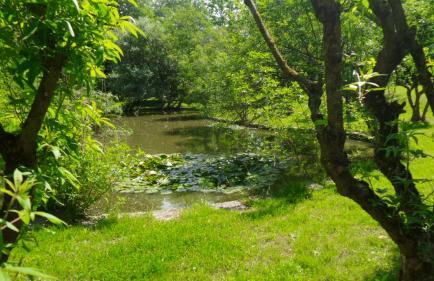 Aradia Casa a Tema Celtico Magico Naturalistico del Casale LaBandita - Foto 17