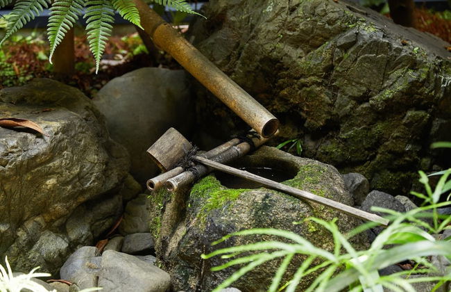 Tachibana an - Foto 16