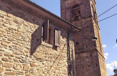 THE DORMOUSE - Il Ghiro - Foto 54