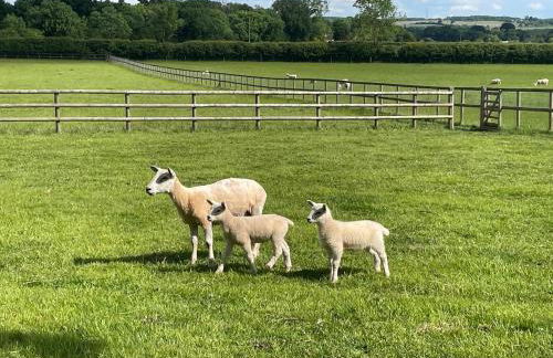 Annexe at The Chalet - A one bedroom annexe with gorgeous countryside views - Foto 44