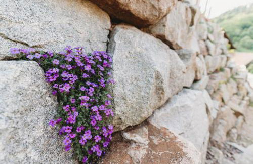 Lieblingsort - Schwarzwald Chalet Lodges - Foto 23