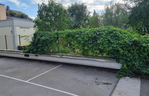 Wohlfühl-Apartment I Zentral I Balkon I Küche - Foto 31