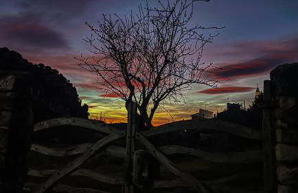 La Fonda de Xiva - Foto 46