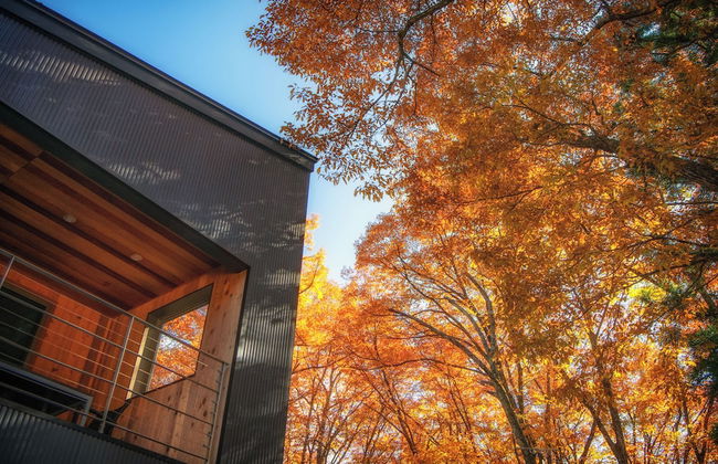 Phoenix Cocoon - Foto 44