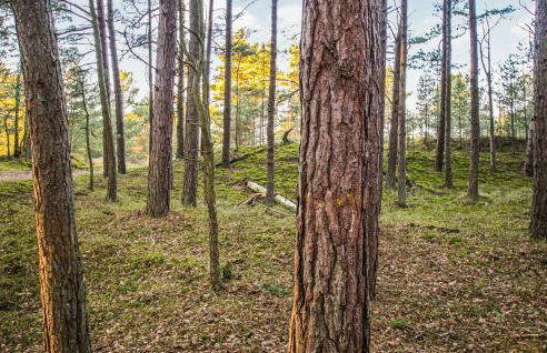 Lovely Home In Wicko With Wifi - Photo 29