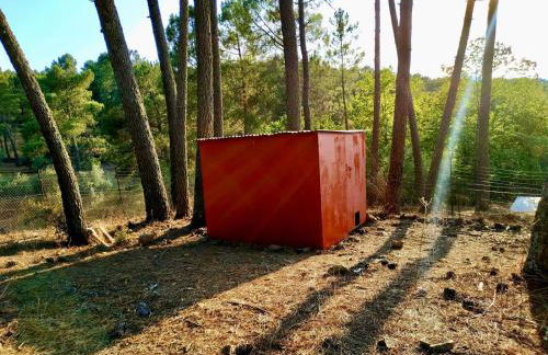 Casa Rural Madre del Agua. Finca El Robledillo - Foto 59