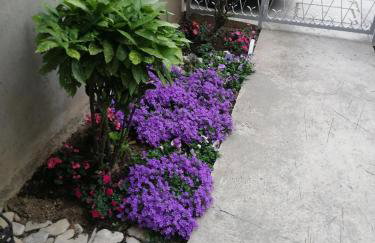 Apartment Visoka - Foto 17