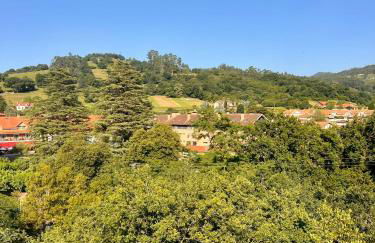 Casona Puente Viesgo - Monabri - Foto 64