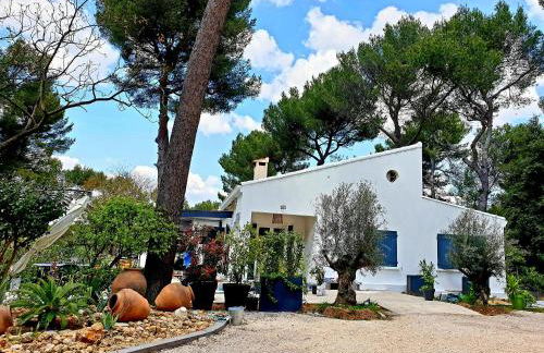 UN OASIS EN PROVENCE - Foto 26