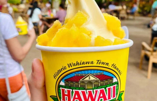 Oahu Private Tour - Photo 9