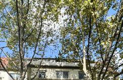 Bezaubernde Wohnung in zentraler Lage - Foto 38