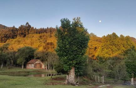 Quinta da Boa Vista São Chico - Foto 58