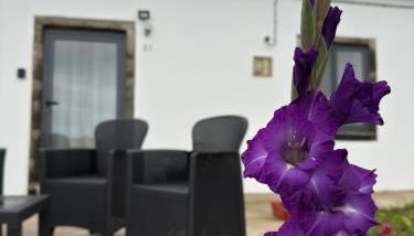 Casa do Branco - Foto 5