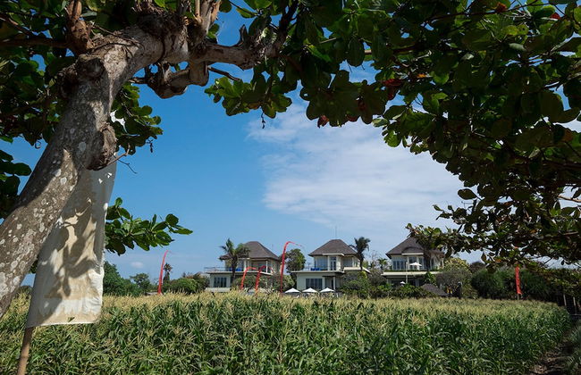 Sanur Residence - Foto 30