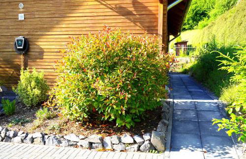 5 Sterne Ferienhaus Tommy mit Kamin, Seeblick und großer Terrasse - Foto 22