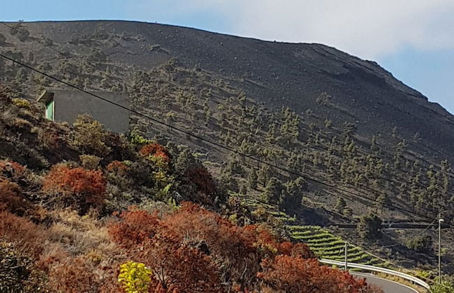 Casa los Viñedos - Foto 27