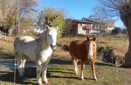 Chalet Edliane - Foto 24