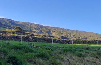 Casa de Santo Amaro - Photo 24