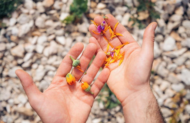 Milea Agritourism - Foto 56