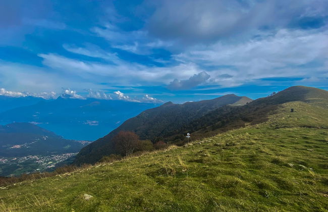 Alexander Place - Foto 50