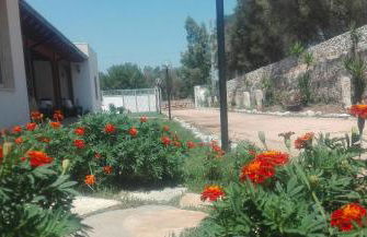 Agriturismo Serra Vecchia - Foto 12