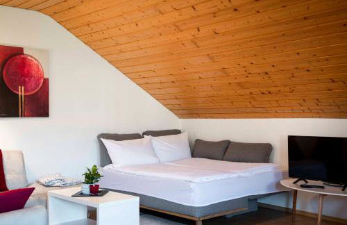 Ferienwohnungen Schmid - Foto 41