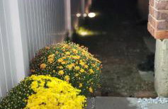 Eleg Stu Apt with Lux amnts steps frm Nautical Mile - Photo 32