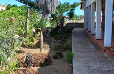 Quintinha das Lombas - Foto 18