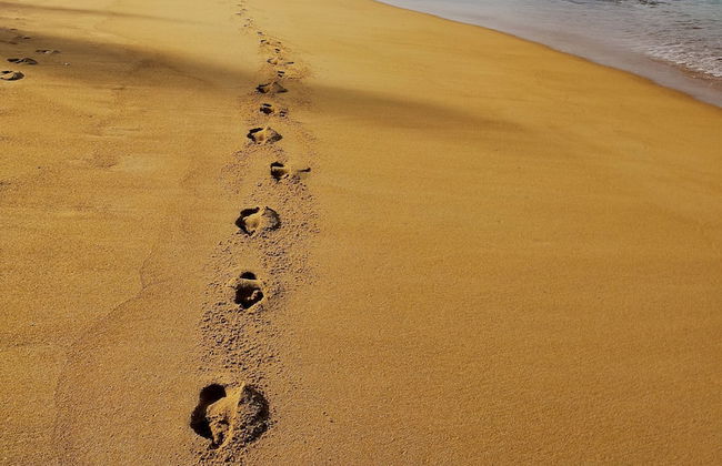 Orchidilla Residence Mai Khao Beach Phuket - Foto 18