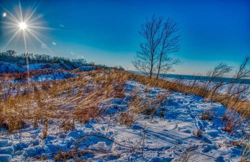 Secluded Fenced Cottage W Dune Top Hot Tub Near Hiking Dog Friendly - Foto 27
