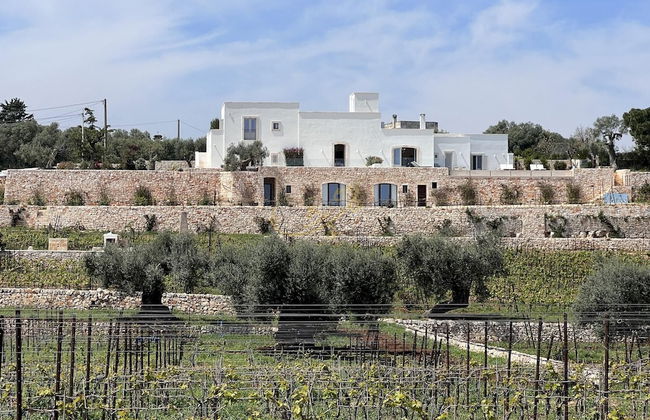 TD Tenuta Donna Madia Sea View Pool Over Vineyard - Foto 29