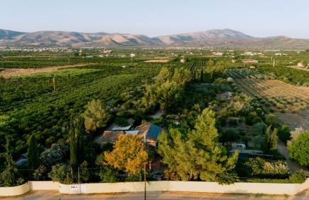 MiraFysee Farm - Foto 11