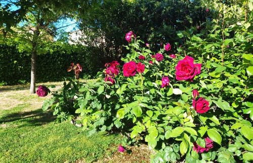 Casa Gilgar Olite - Foto 64