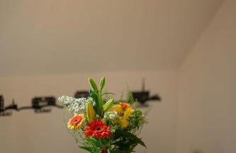 Appartement chaleureux le Grenier de Pommard - Foto 22