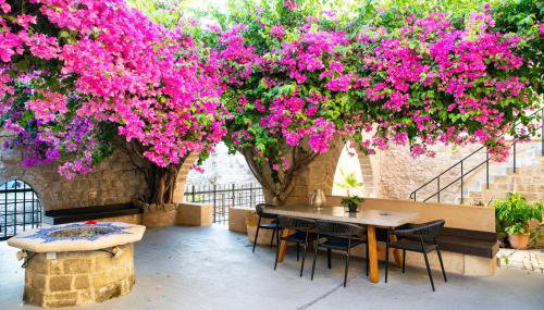 The Old Town House - Foto 5, Garden view