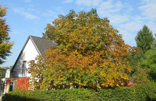 EIFEL Gästewohnung - Foto 8