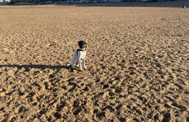 old coastguards station - Foto 17