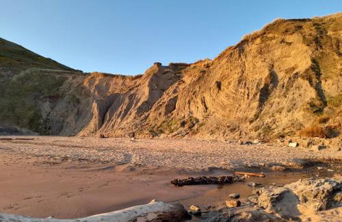 Cosy Cottage overlooking the Teifi Gorge - Foto 16