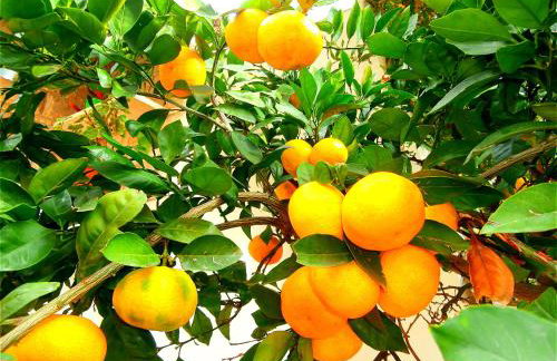 Apartments Cordis - Foto 88