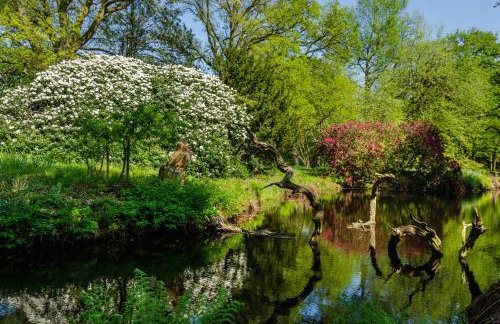 Schlossblick - Foto 31