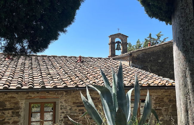 Fattoria di Cintoia - Photo 72