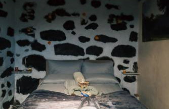 Los Amantes de la naturaleza. - Photo 1