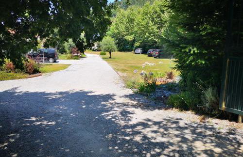 Ares Vieira - Foto 33