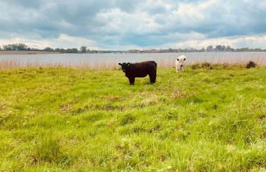 Ferienhaus an der Schlei - Foto 11