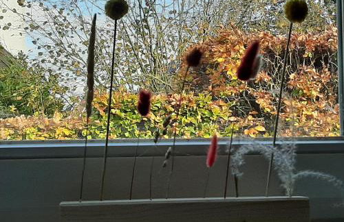 Atelierwohnung - Foto 14