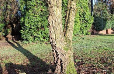 Listed lodge building overlooking Himley Park - Foto 12